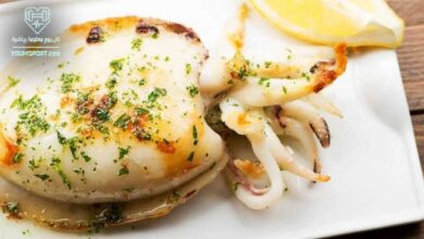 فوائد السيبيا الصحية لمن يرغب فى بناء العضلات