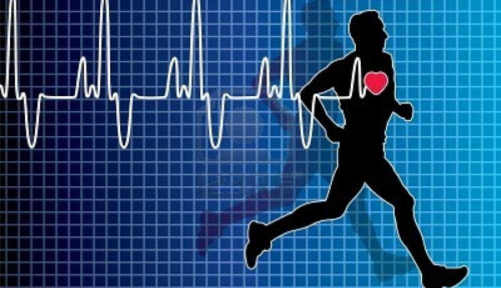 ما هو معدل ضربات القلب عند ممارسة الرياضة