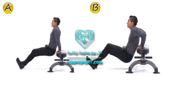 Chair Triceps Dip