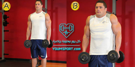 تمرين لبناء عضلات الترابيس