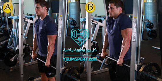 تمرين لبناء عضلات الترابيس