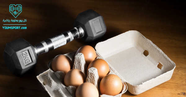 البيض وجبة غذائية عالية البروتين تساعد على بناء العضلات